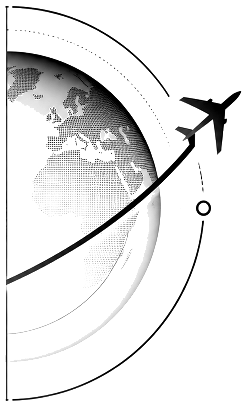 demis plannet avec un avion